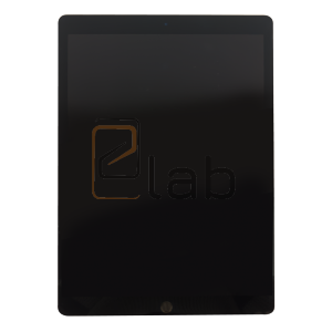 APPLE APPLE IPAD PRO 12.9 2ND GEN 2017 256GB WIFI + CELLULAR GREY GRADO C USATO